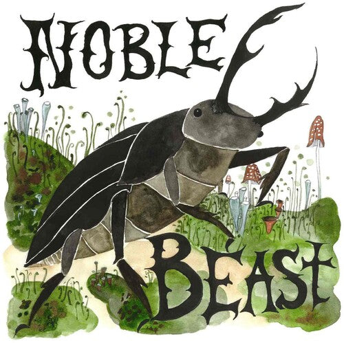 Bird,andrew - Noble Beast - Music CD