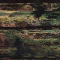Doldrums - Acupuncture - Music CD