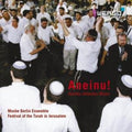 Berlin,moshe - Aneinu Hasidic-orthodox Music From Festival Torah - Music CD