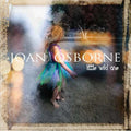 Osborne,joan - Little Wild One - Music CD