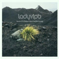 Ladyviph - Stories Of A Broken Heart - Music CD
