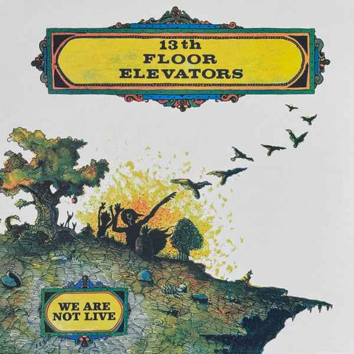 13th Floor Elevators - We Are Not Live (RSD 4.18.26) Vinyl Record