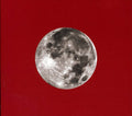 Difranco,ani - Red Letter Year - Music CD