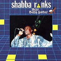 Ranks,shabba - Best Baby Father - Music CD
