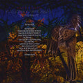 Caliche Con Carne - Time Is Absolute - Music CD
