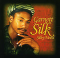 Silk,garnett - Silky Mood - Music CD