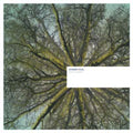 Fallen Arches [LP] Vinyl Record