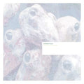 Sunken Foal - Fermented Condiments - Vinyl Record