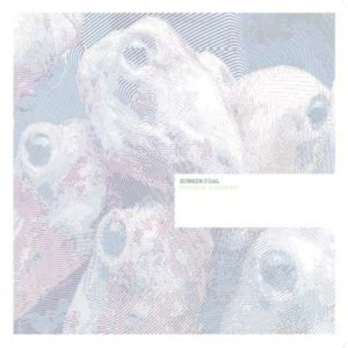 Sunken Foal - Fermented Condiments - Vinyl Record