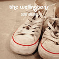 Wellingtons - Song For Kim - Vinyl Record