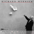 Wernick / Starobin / Int'l Contemporary Ensemble - Music Of Richard Wernick - Music CD