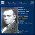 Ignaz Friedman, Complete Recor - Ignaz Friedman, Complete Recor - Music CD
