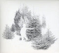 Barr - Skogsbo Is The Place - Music CD