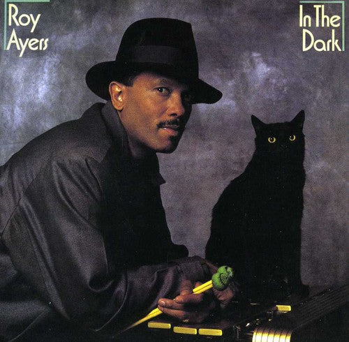 Ayers,roy - In The Dark (bonus Tracks Edition) - Music CD