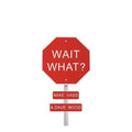 Vass,mike / Wood,dave - Wait What - Music CD