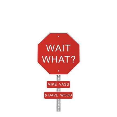 Vass,mike / Wood,dave - Wait What - Music CD
