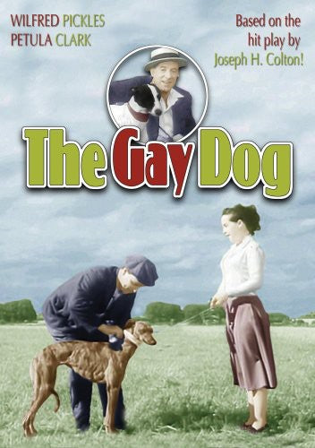 Gay Dog - Gay Dog - DVD