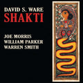 Ware,david S - Shakti - Music CD