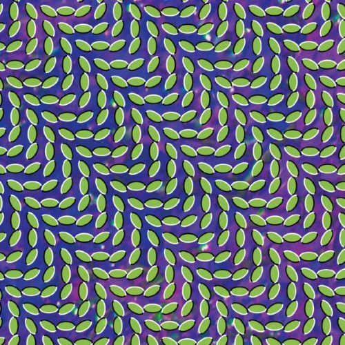 Animal Collective - Merriweather Post Pavillion - Vinyl Record