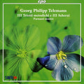 Telemann / Parnassi Musici - Ill Trietti Metodichi E Ill Scherzi - Music CD