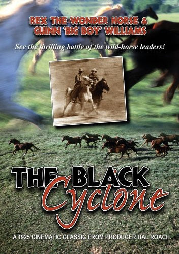 Black Cyclone - Black Cyclone - DVD