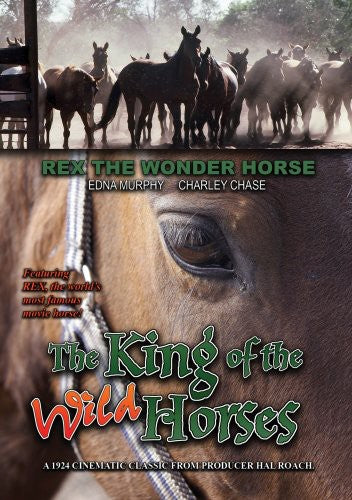 King Of The Wild Horses - King Of The Wild Horses - DVD