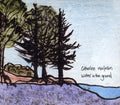 Maclellan,catherine - Water In The Ground - Music CD