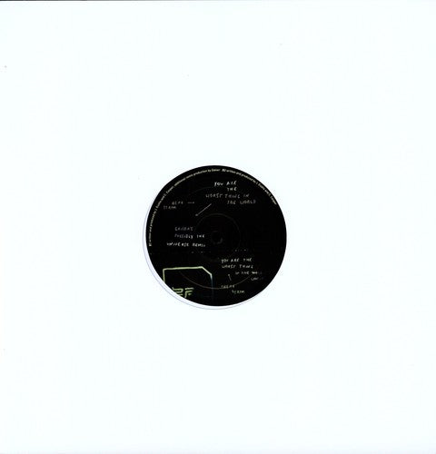 Telefon Tel Aviv - You Are The Worst Thing In The World - Vinyl Record