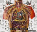 Strung Out - Prototypes & Painkillers - Music CD