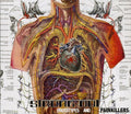 Prototypes and Painkillers Music CD