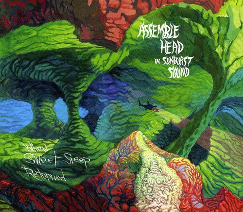 Assemble Head In Sunburst Sound - When Sweet Sleep Returned - Music CD