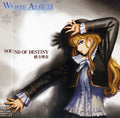 Nana,mizuki - Sound Of Destiny/glass No Hana - Music CD