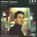 Beethoven / Vizi - Sonata Op 32 / Fantasie Op - Music CD