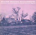 Blues Roots Mississippi / Var - Blues Roots Mississippi / Var - Music CD