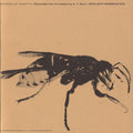 Sounds Of Insects / Various - Sounds Of Insects / Various - Music CD