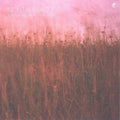 Nostalgia 77 - Everything Under The Sun - Music CD