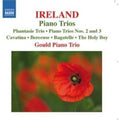 Ireland / Gould Piano Trio - Piano Trios - Music CD