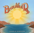 Robison,charlie - Beautiful Day - Music CD