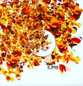 Toro,miguel - Device - Vinyl Record