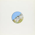 Wasted Chicago Youth - Chase The Devil - Vinyl Record