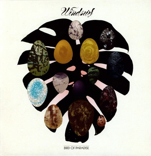 Windsurf - Bird Of Paradise - Vinyl Record