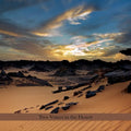 Robinson,perry / Greene,burton - Two Voices In The Desert - Music CD