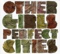 Other Girls - Perfect Cities - Music CD