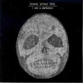 Bonnie Prince Billy - I See A Darkness - Vinyl Record