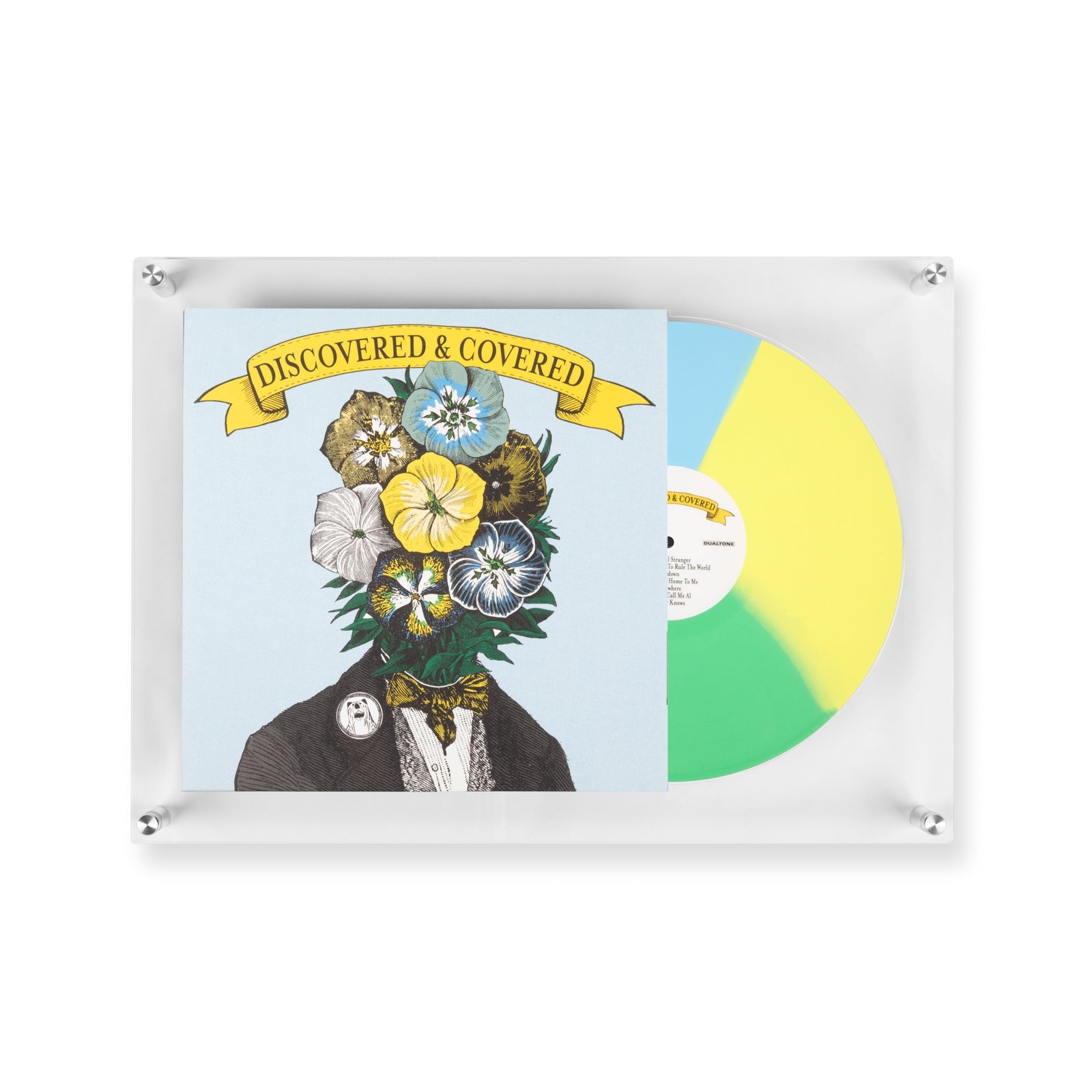 Case Pack of 5 Vinyl Record Reveal Frame