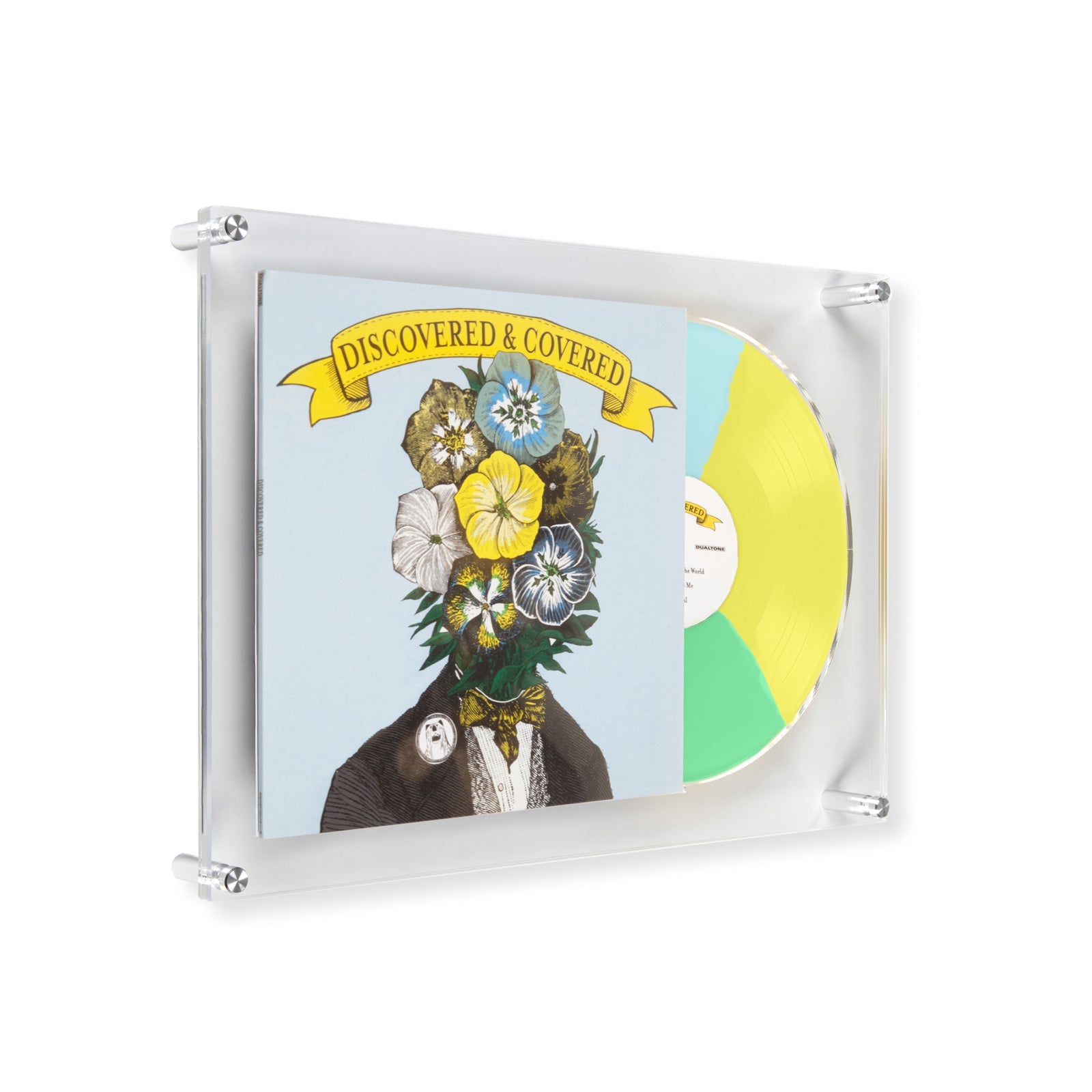 Case Pack of 5 Vinyl Record Reveal Frame