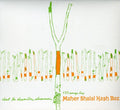 Maher Shalal Hash Baz - C'est La Derniere Chanson - Music CD