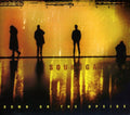 Soundgarden - Down on the Upside [CD]