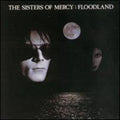 Floodland Music CD