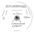 Black Meteoric Star - Dreamcatcher - Vinyl Record